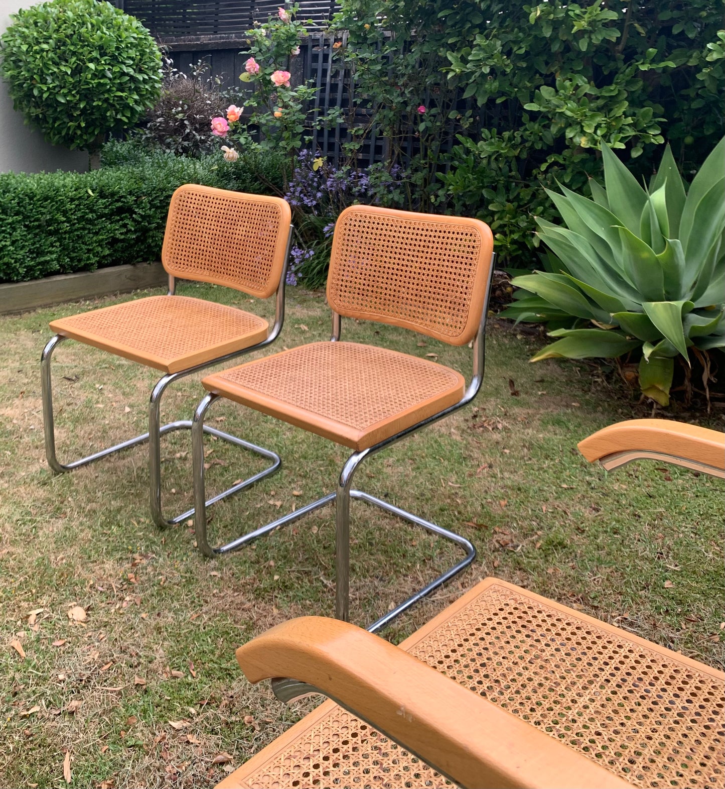 Set of 6 Marcel Breuer Cesca B32 Dining Chairs, Made in Italy