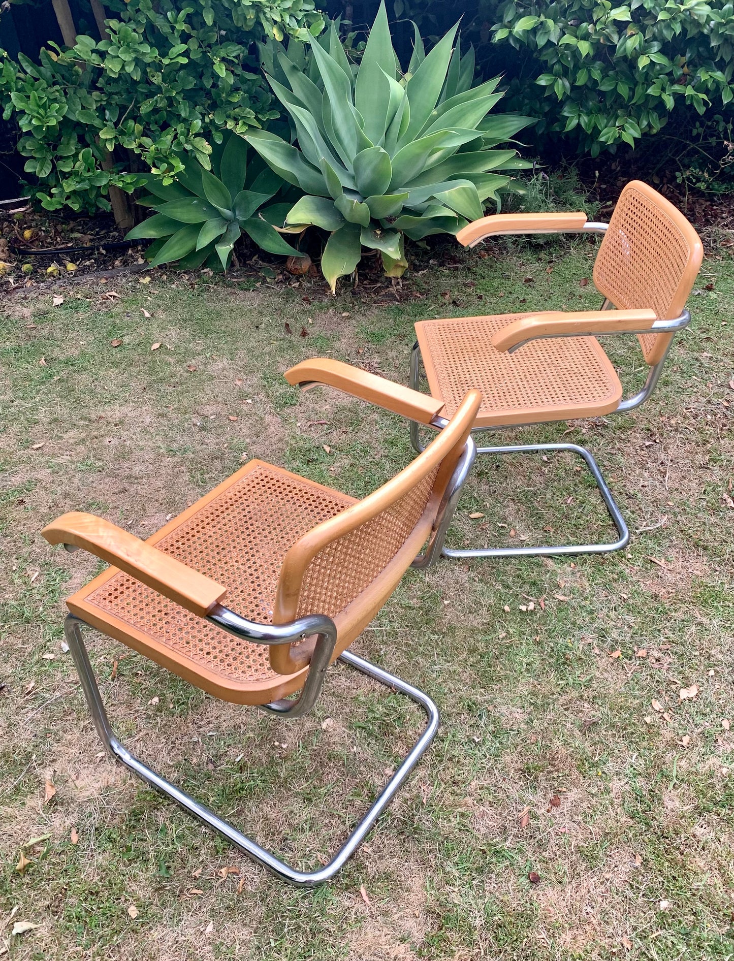 Set of 6 Marcel Breuer Cesca B32 Dining Chairs, Made in Italy