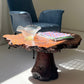 - Vintage Freeform Burl Coffee Table