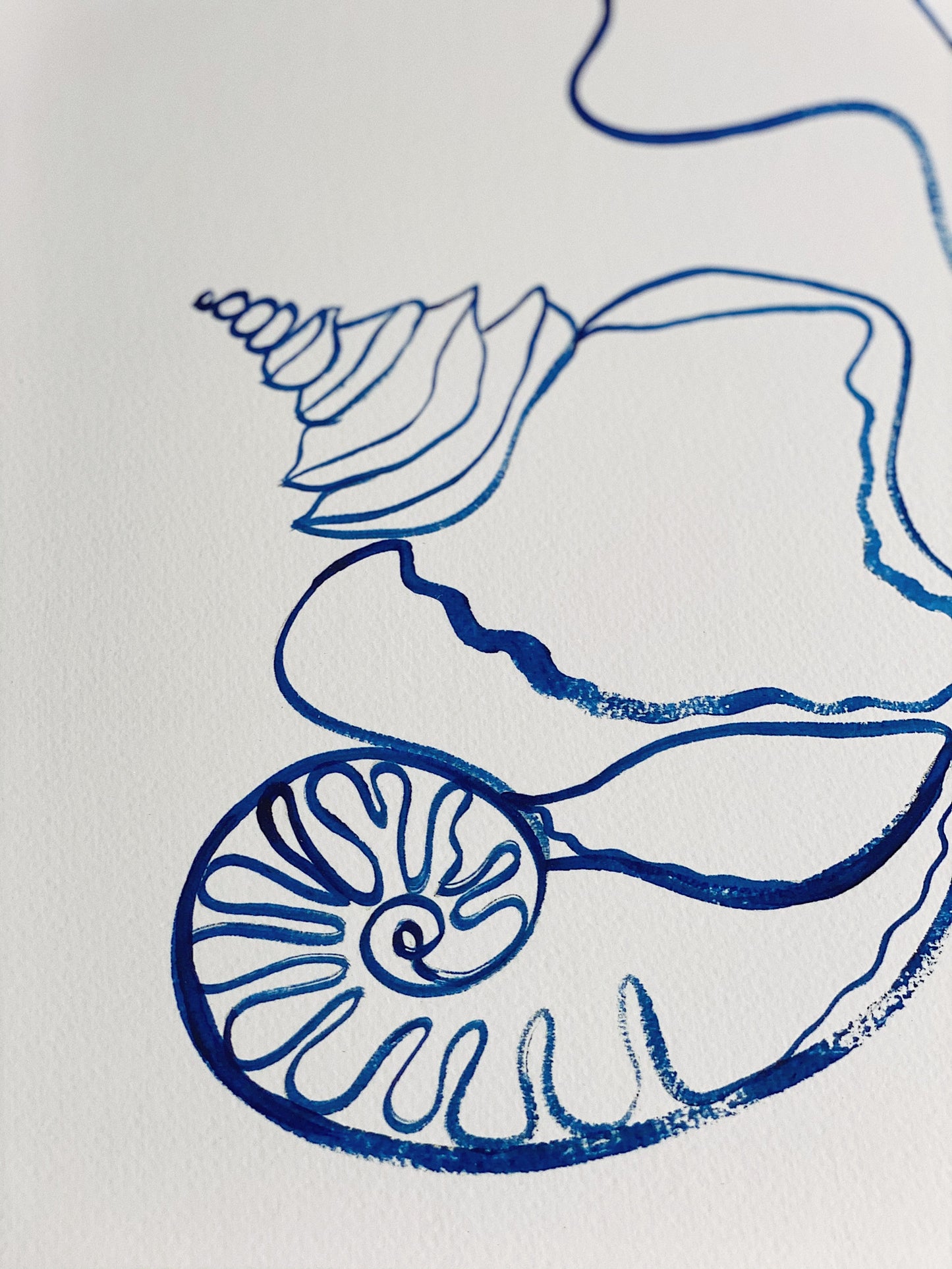 “Call Me On My Shell Phone” By Rikki Day ~ Float framed in Tasmanian Oak, limited edition