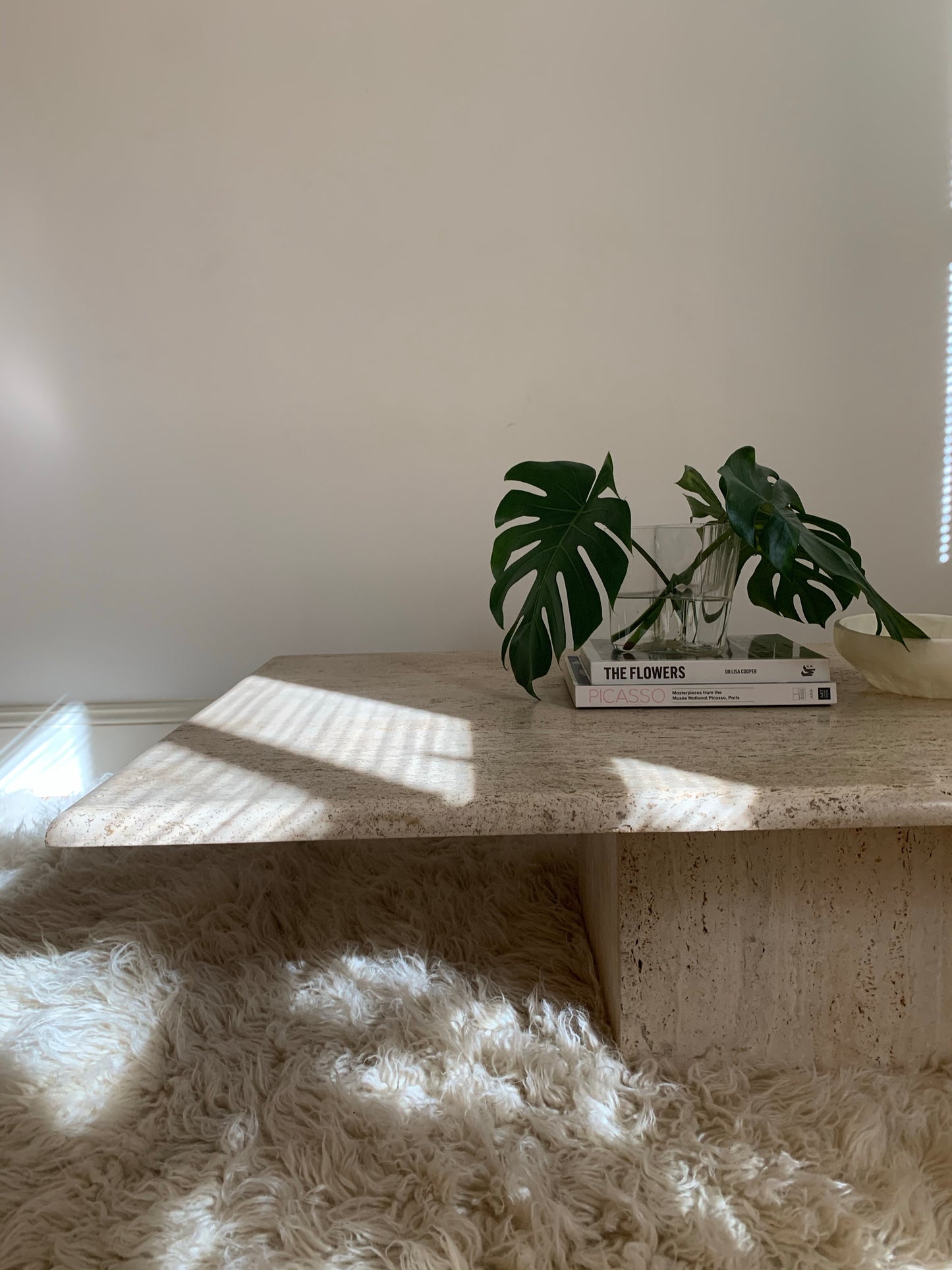 Large Vintage Unfilled Travertine Coffee Table