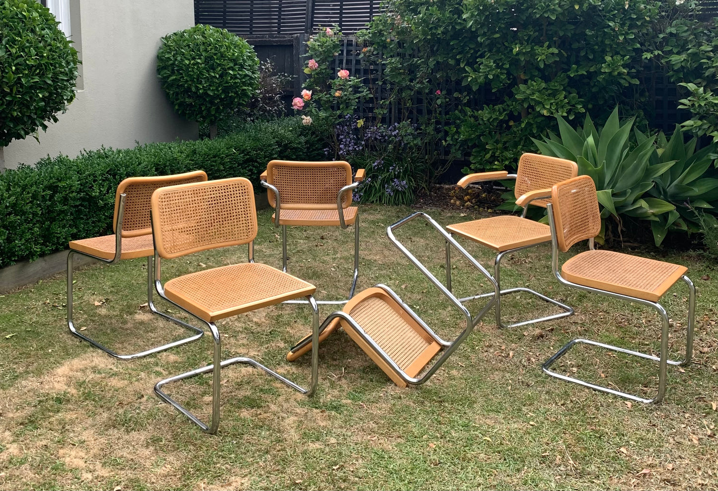 Set of 6 Marcel Breuer Cesca B32 Dining Chairs, Made in Italy