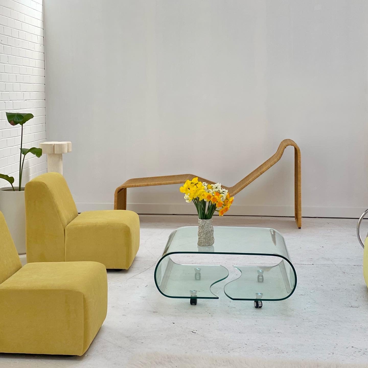 Curvy Glass Coffee Table