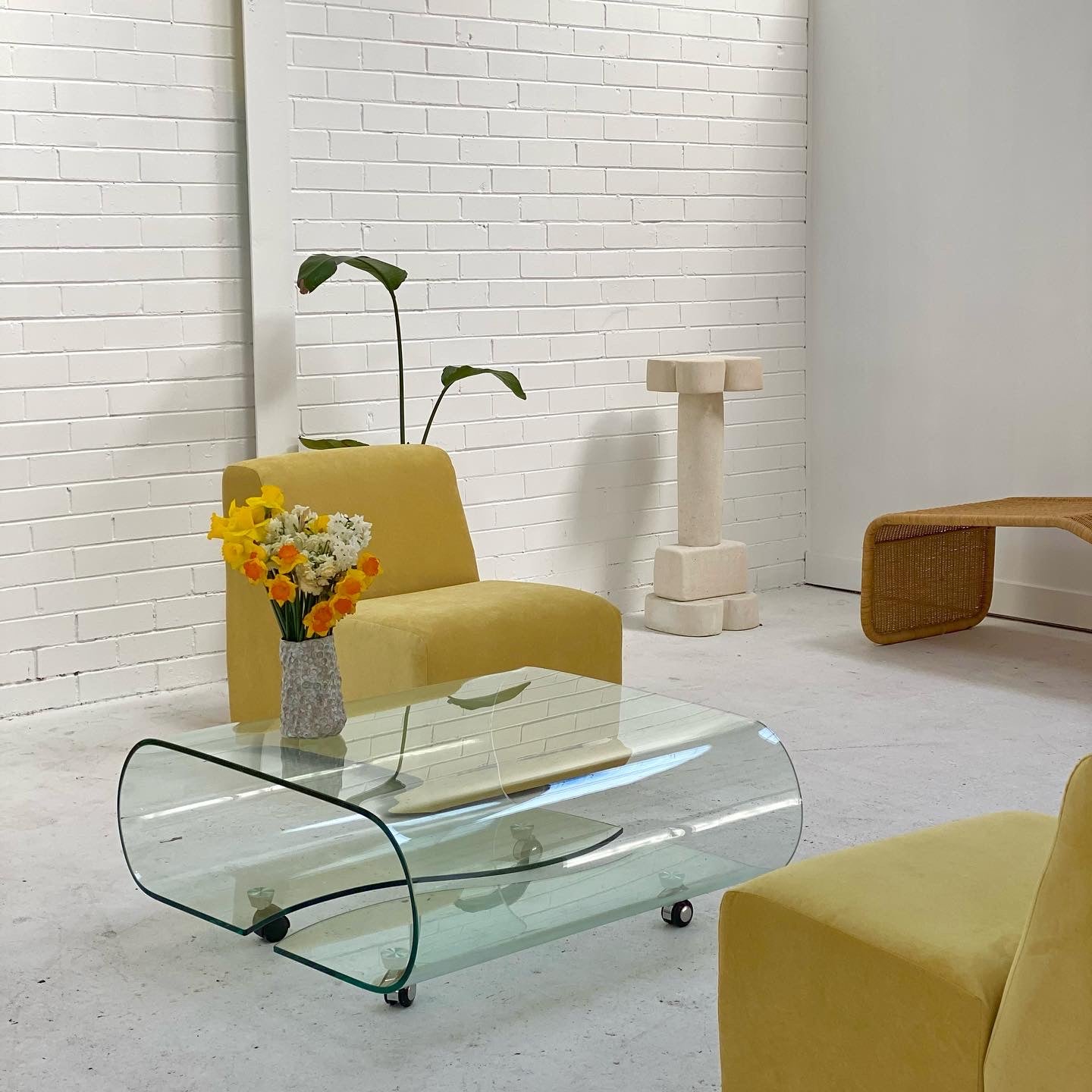 Curvy Glass Coffee Table