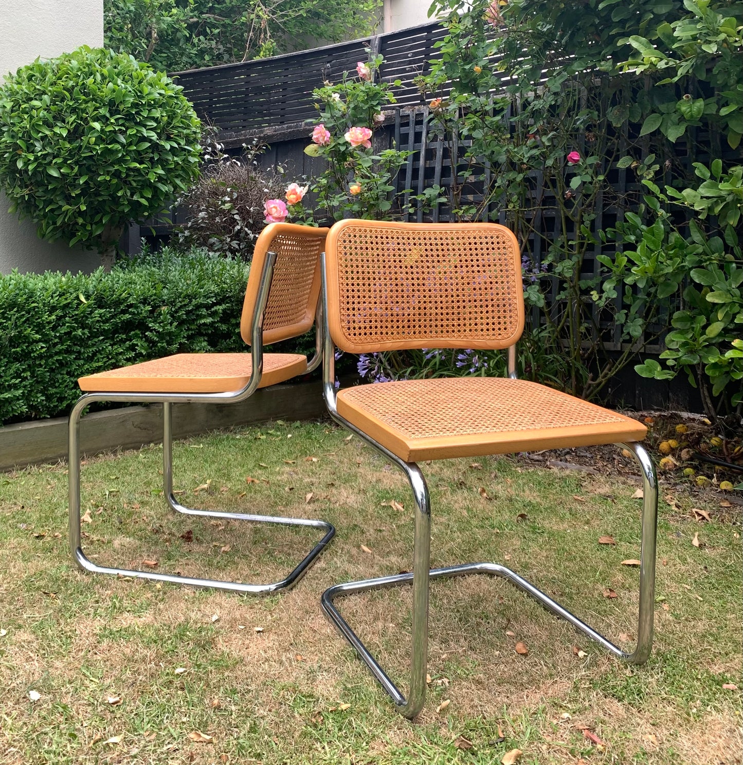 Set of 6 Marcel Breuer Cesca B32 Dining Chairs, Made in Italy