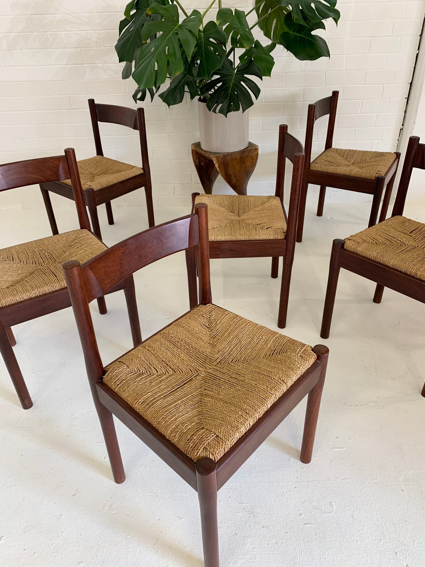 Carimate Dining Chairs in Jarrah