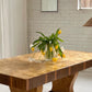 - Large Walnut Birds Eye Burl Table