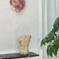 Murano Sconce - VISTOSTI PINK - One Available