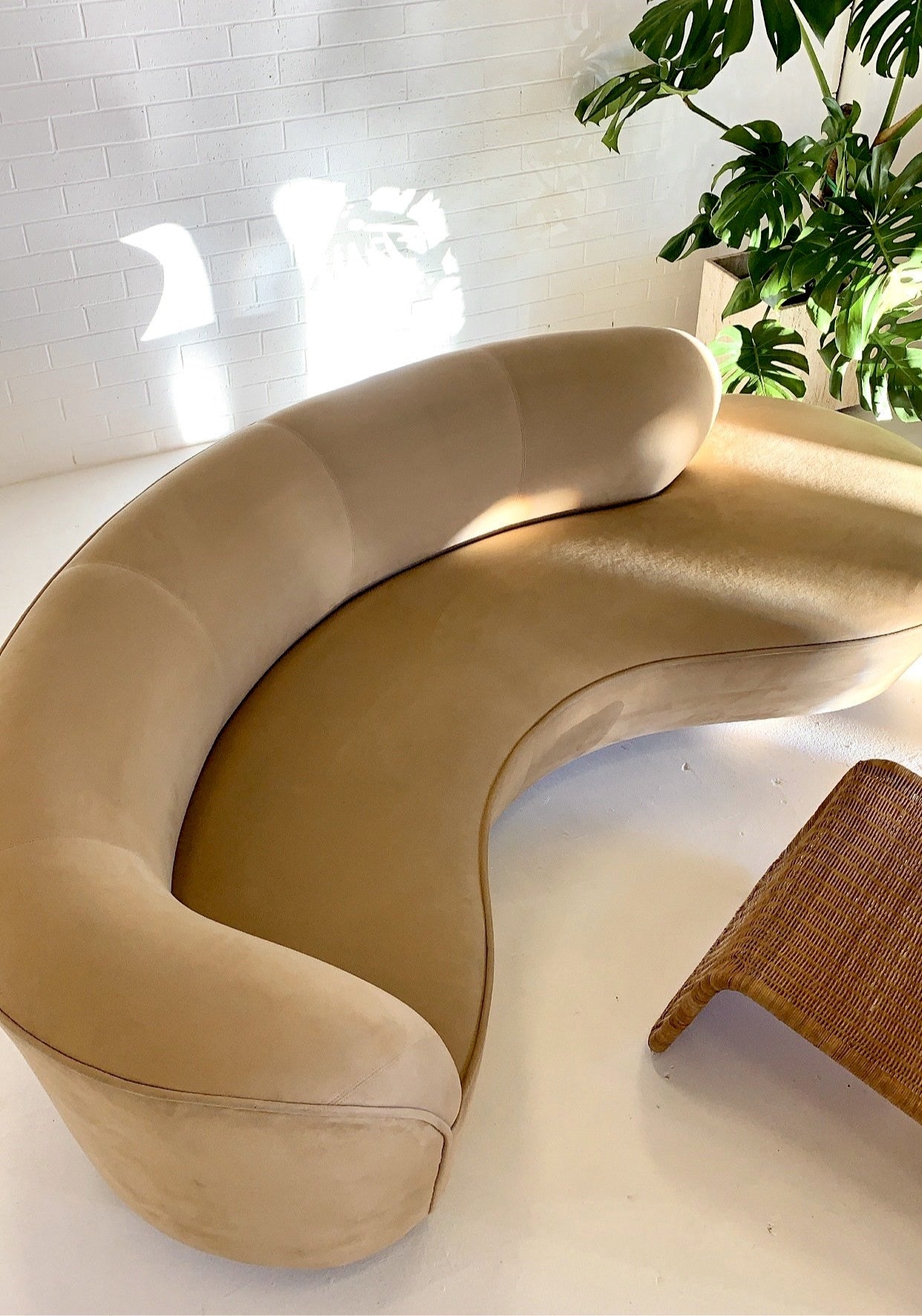 Stunning Curved Sofa and Ottoman