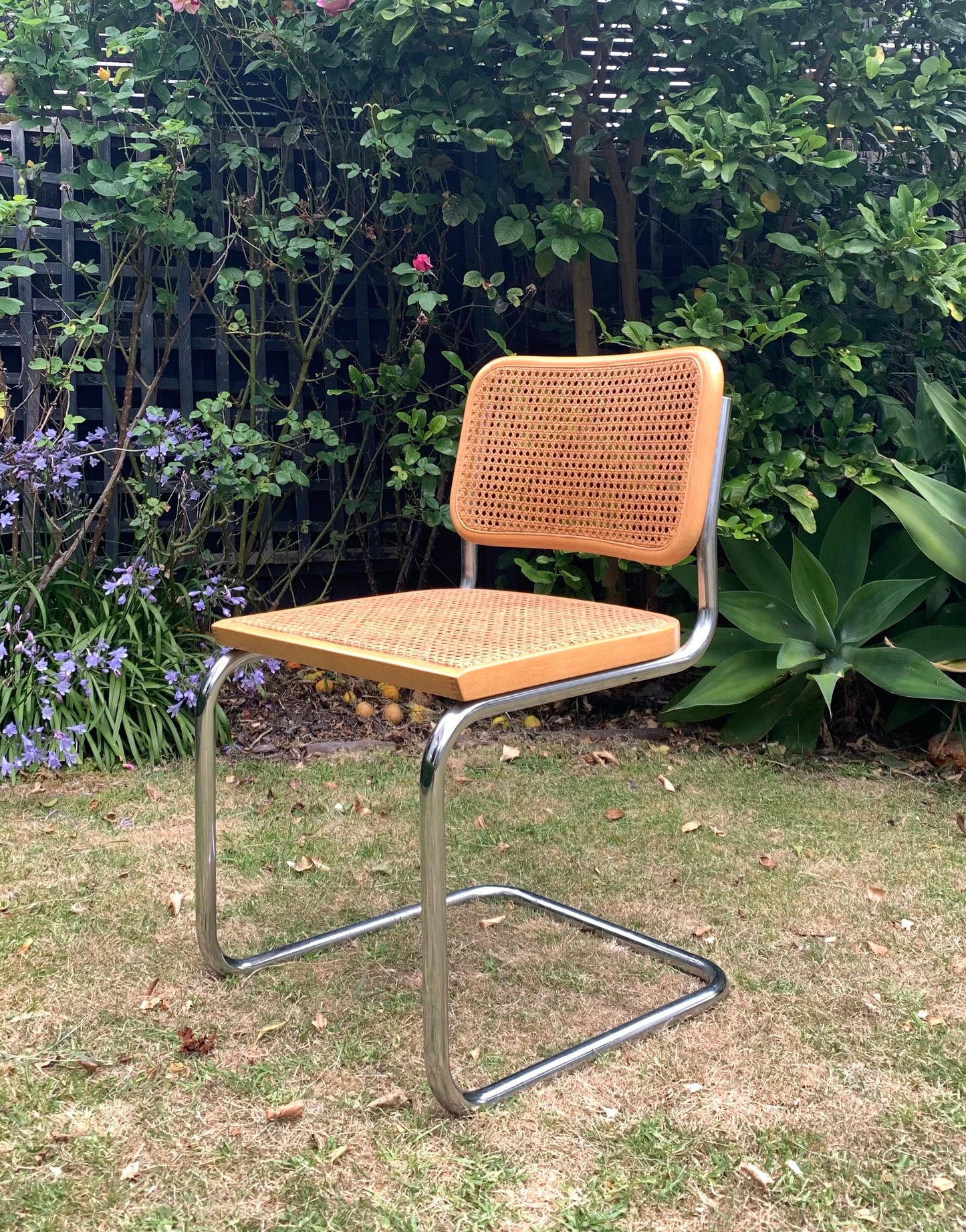 Set of 6 Marcel Breuer Cesca B32 Dining Chairs, Made in Italy