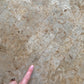 Tessellated Fossil Dining Table