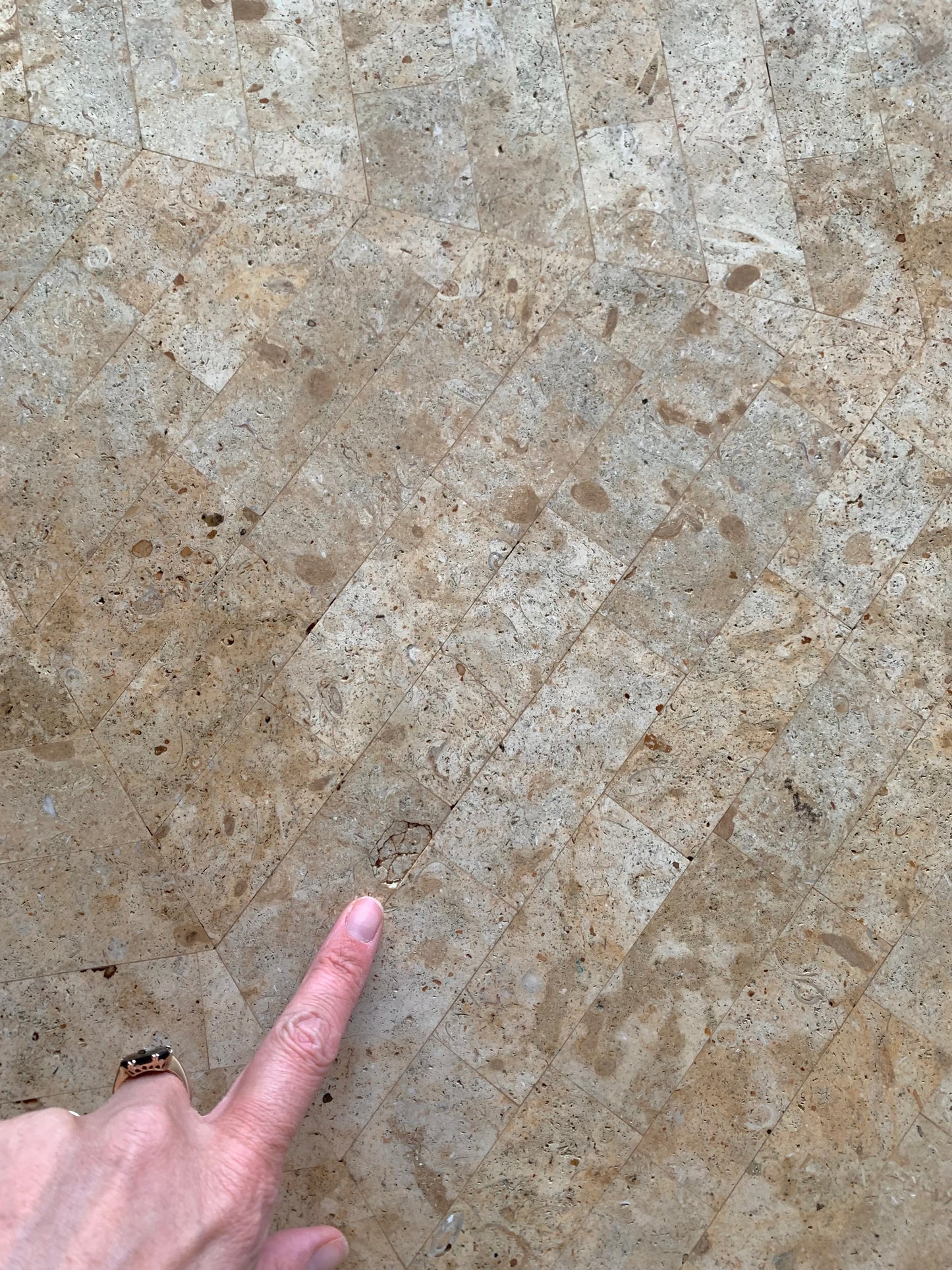 Tessellated Fossil Dining Table
