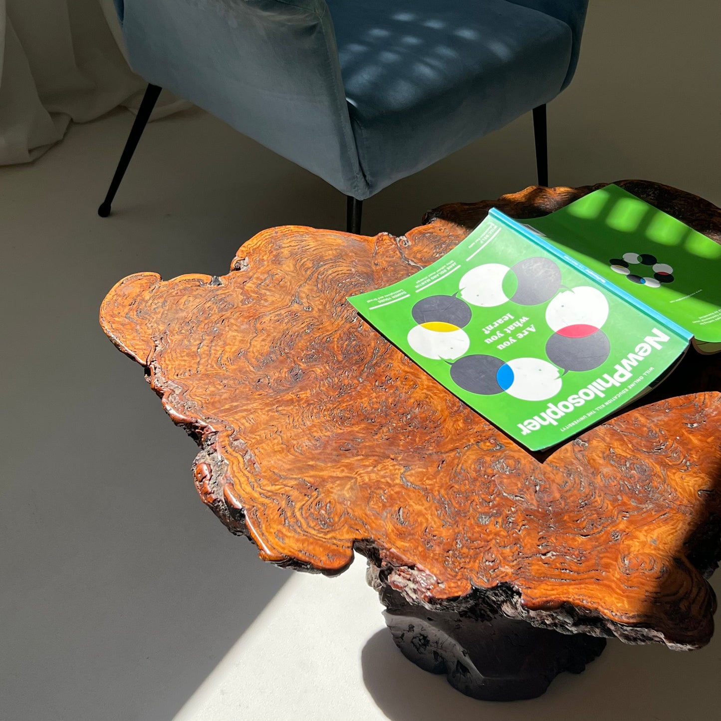 - Vintage Freeform Burl Coffee Table