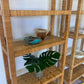 Vintage Rattan Bookshelf