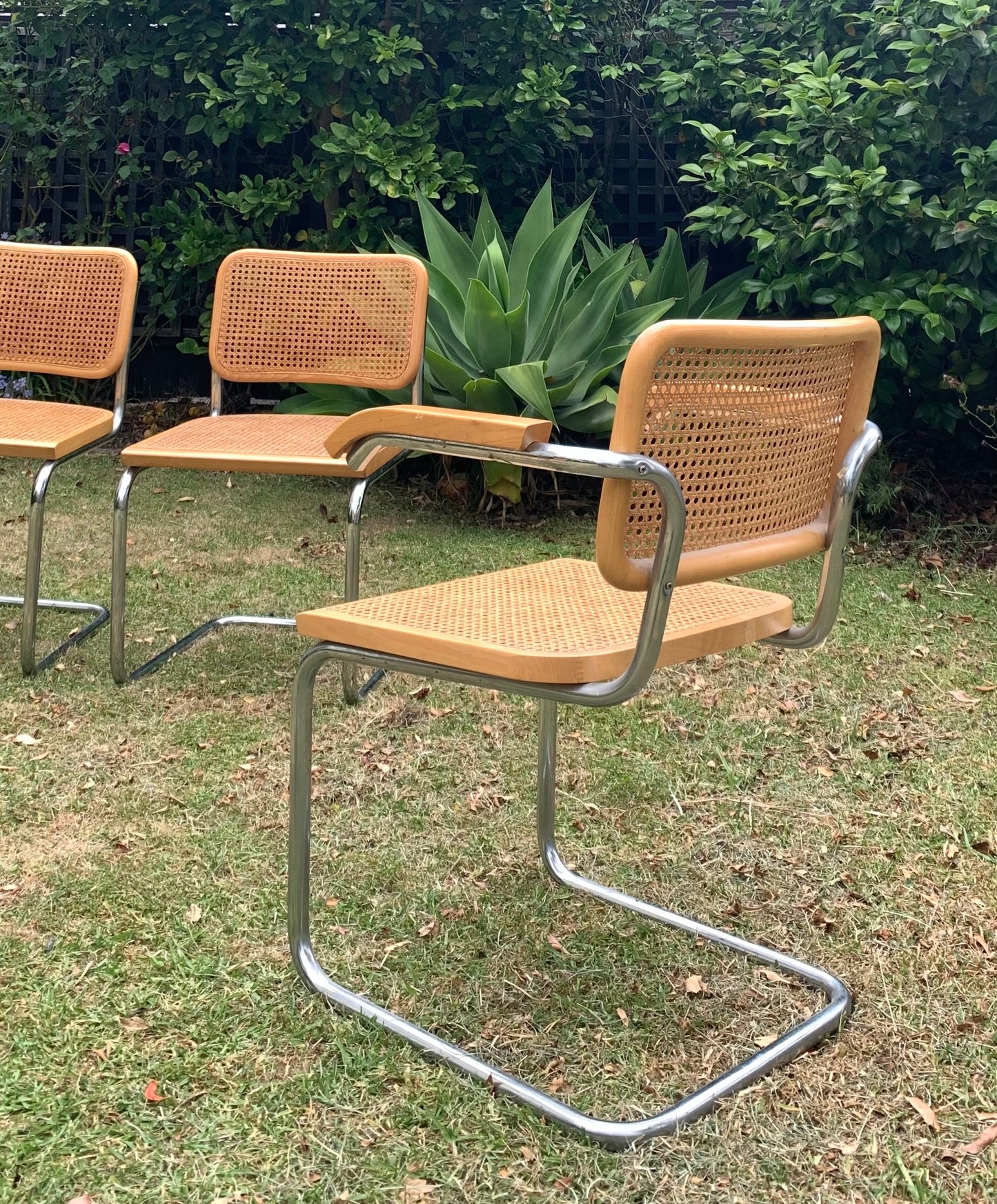 Set of 6 Marcel Breuer Cesca B32 Dining Chairs, Made in Italy
