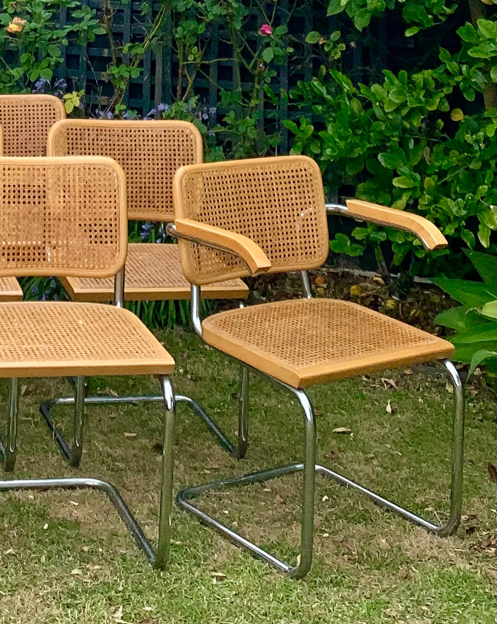 Set of 6 Marcel Breuer Cesca B32 Dining Chairs, Made in Italy