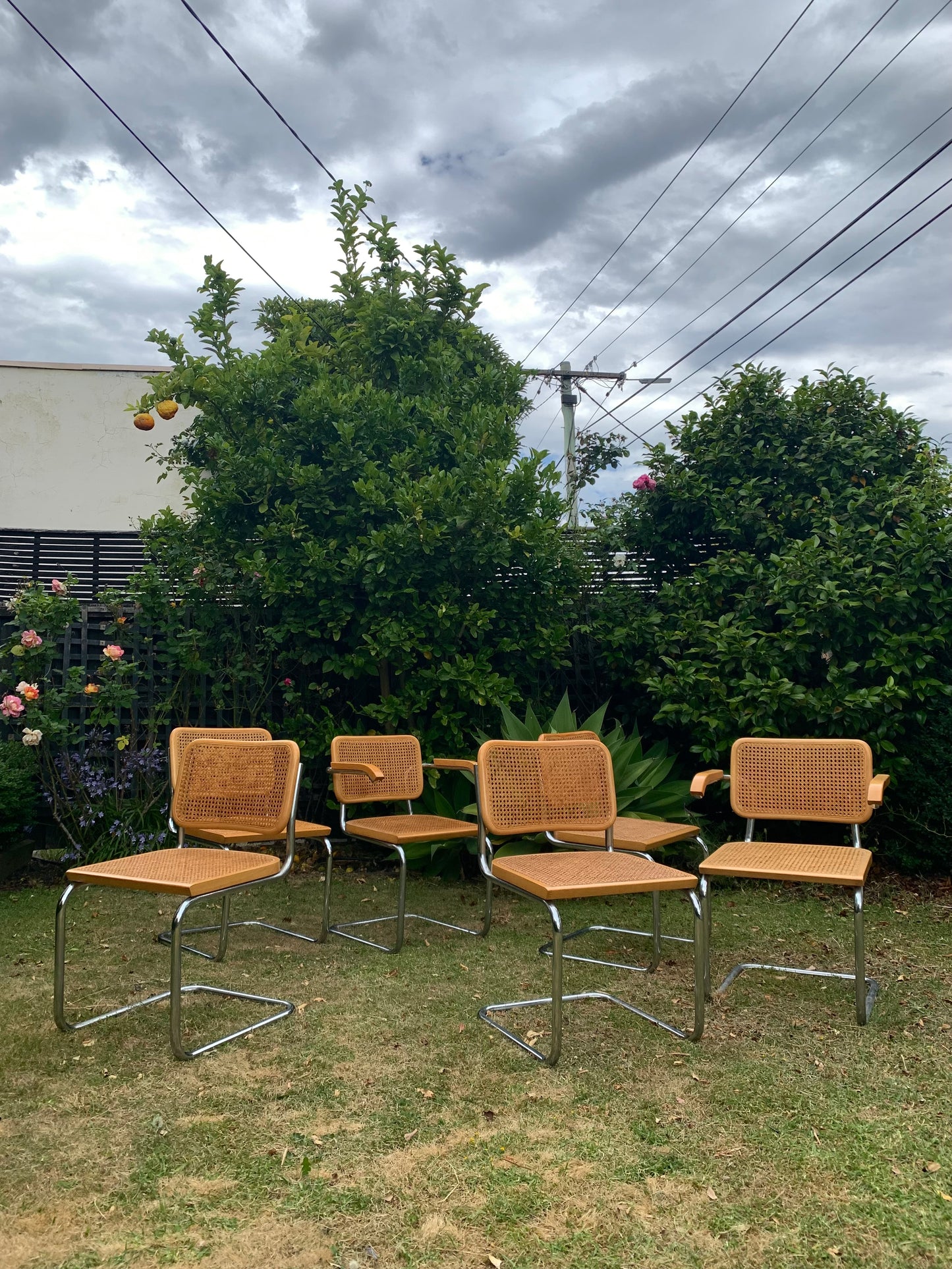 Set of 6 Marcel Breuer Cesca B32 Dining Chairs, Made in Italy