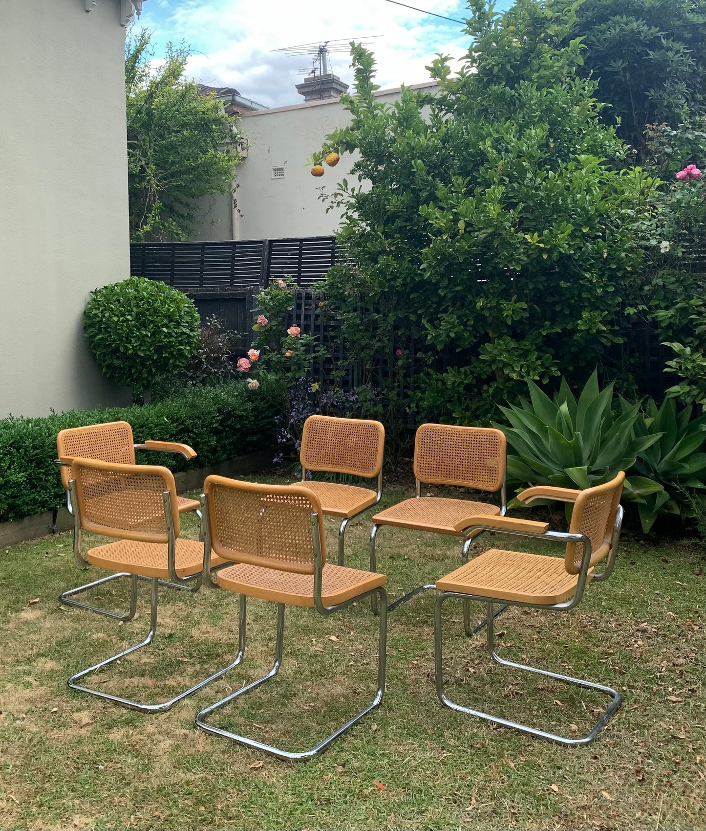 Set of 6 Marcel Breuer Cesca B32 Dining Chairs, Made in Italy