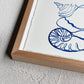“Call Me On My Shell Phone” By Rikki Day ~ Float framed in Tasmanian Oak, limited edition