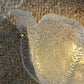 Vintage Murano Flower Sconce, Italy - Two Available