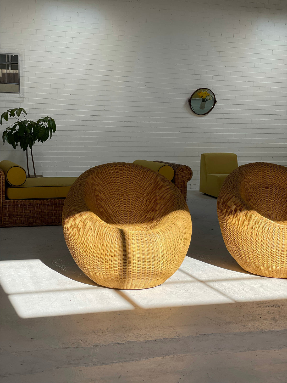 Cane Tub Chairs