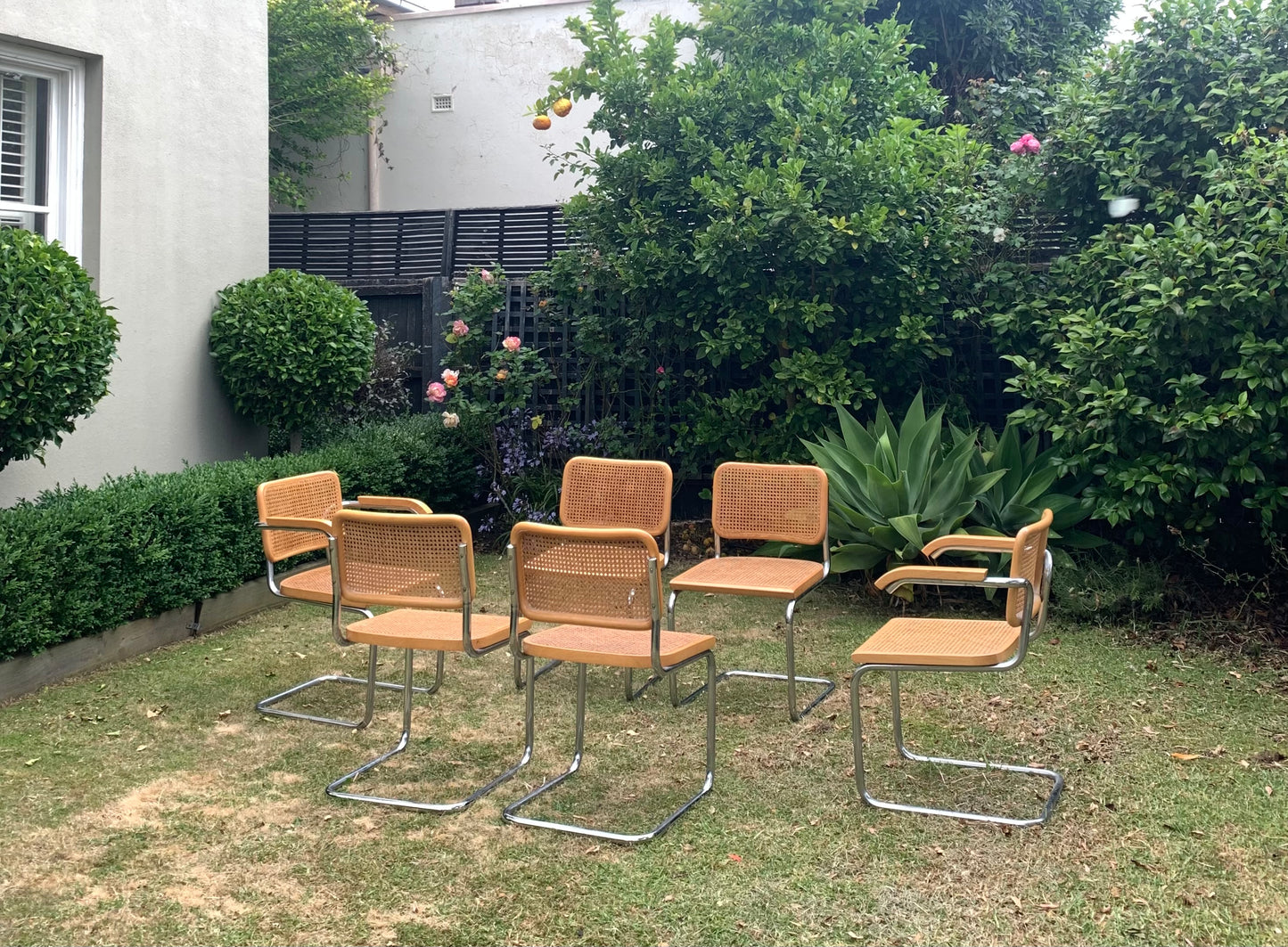 Set of 6 Marcel Breuer Cesca B32 Dining Chairs, Made in Italy
